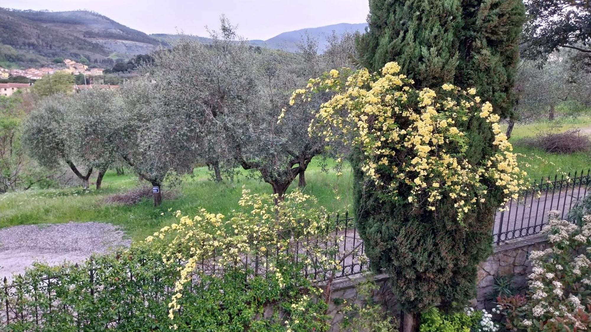 Villa Salviati Prato  Exteriér fotografie
